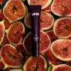 1_fig (1) Fig Lipper